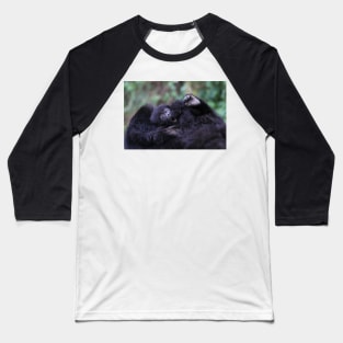 Baby Mountain Gorilla, Kwitonda Group, Rwanda, East Africa Baseball T-Shirt